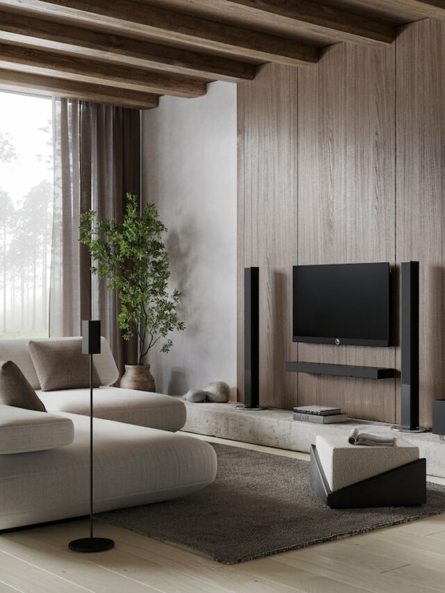 textured home decor, indoor plants, sofa, rug, wooden flooring, tv
