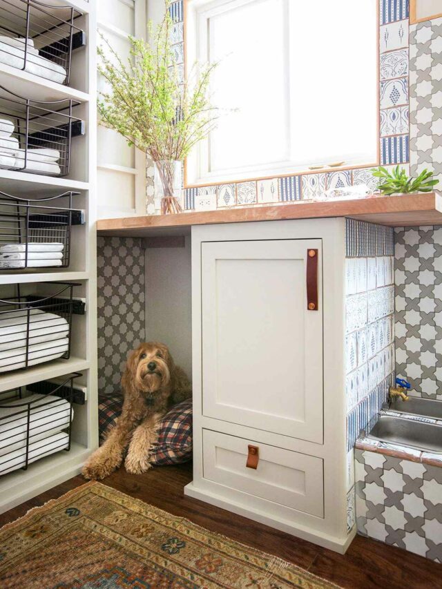 Pet-friendly home design