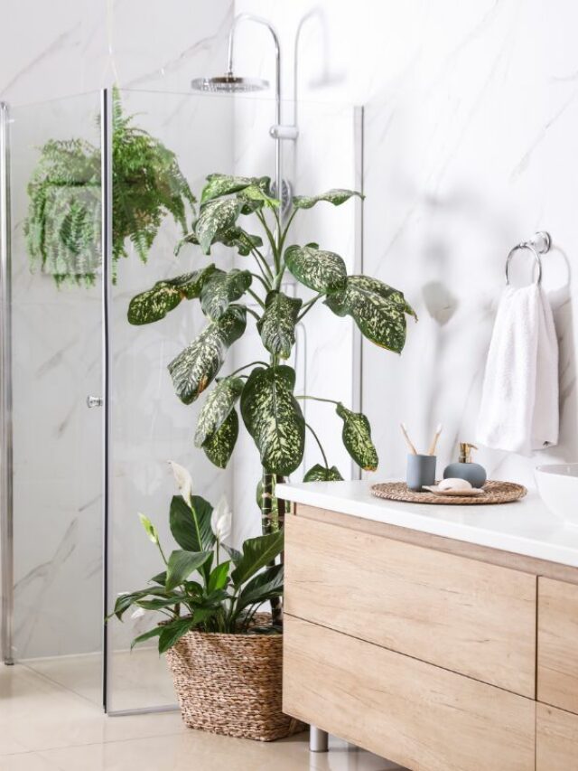 white bathroom with brown cabinets and plants