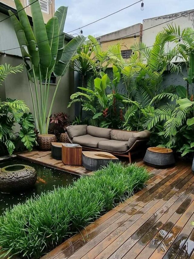 plants for home garden