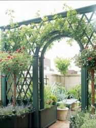 trellis garden arch