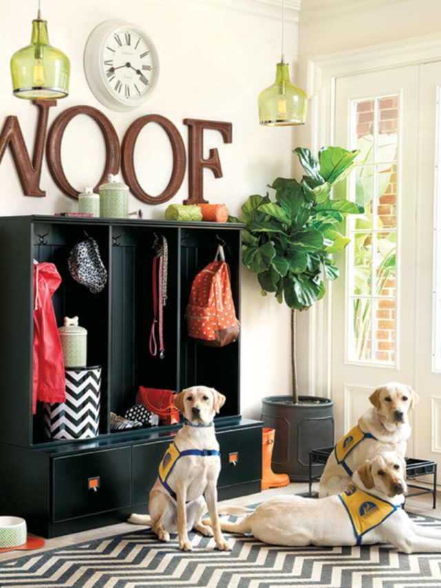 Dog Friendly Decorating Ideas Building And Interiors