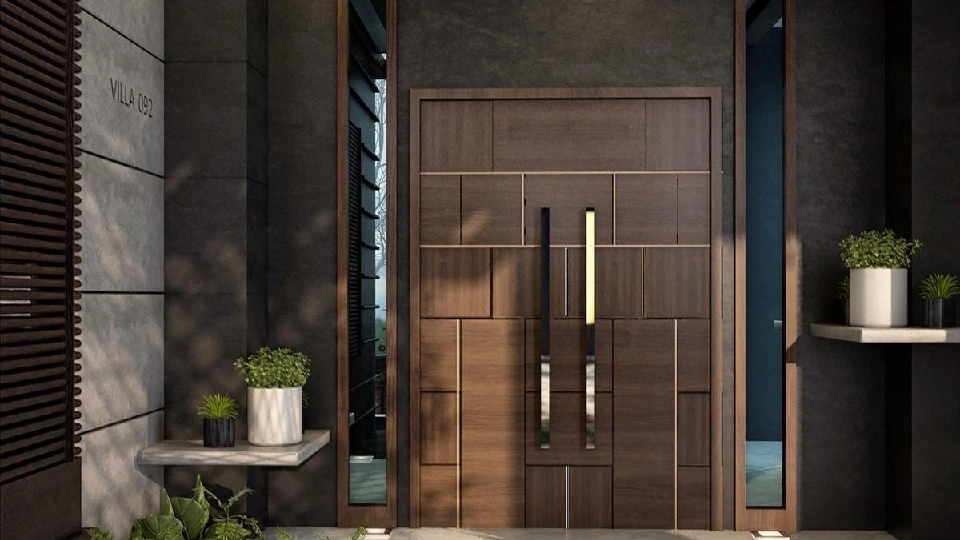 black modern wooden door design in a home main entrance with false ceiling and plants