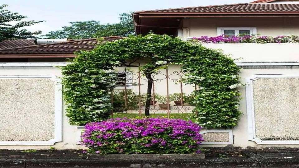 Peek-a-boo compound wall