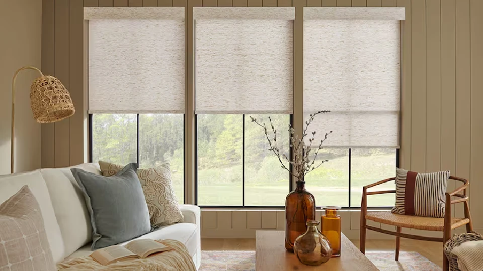 Classic roller shades adorning the living room windows 