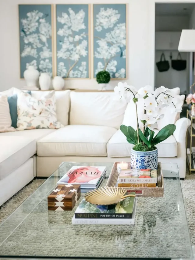 coffee table, living room, white sofa, flower pot, books, white lamp