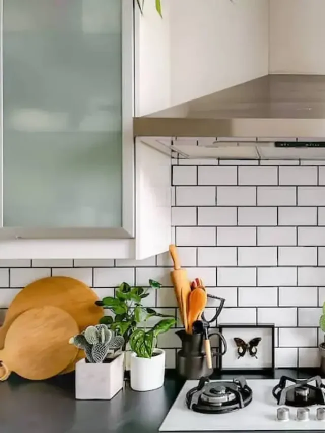 subway tiles, kitchen, kitchen accessories kept over the countertop