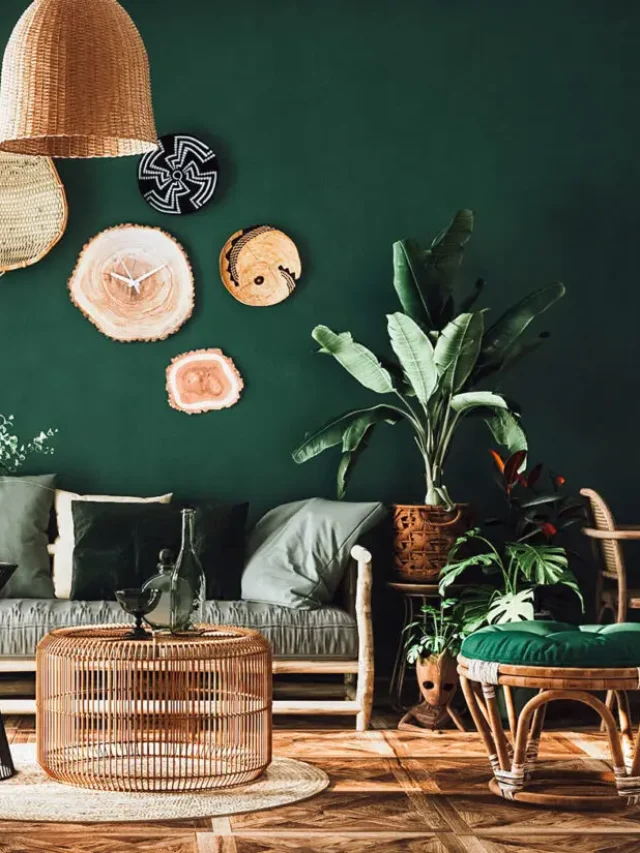 living room, dark green painted walls, houseplants, rattan furniture, decorative elements hanging on wall