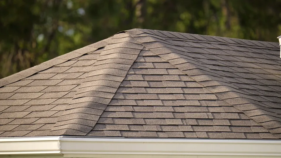 Bio-composite roof sheet