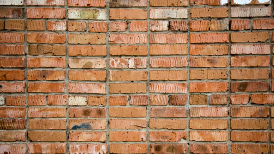 Burnt clay bricks