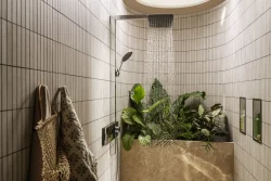 Raindance Alive - hansgrohe premium, modern, overhead and luxury hand showers