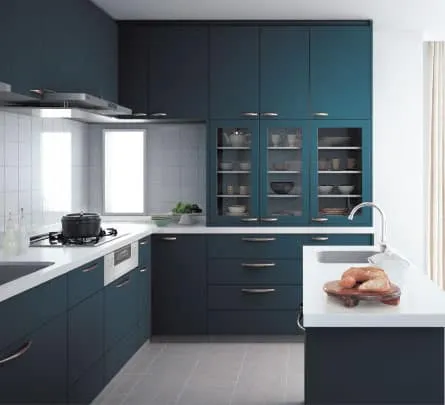 Panasonic Modular Kitchen _1