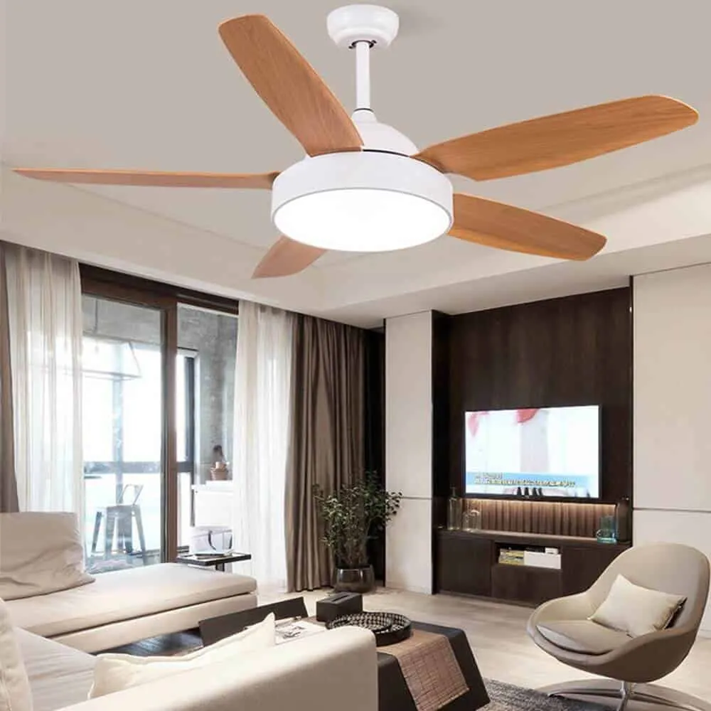 ceiling fan with light for false ceiling