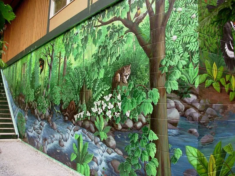 jungle theme pinted mural walls