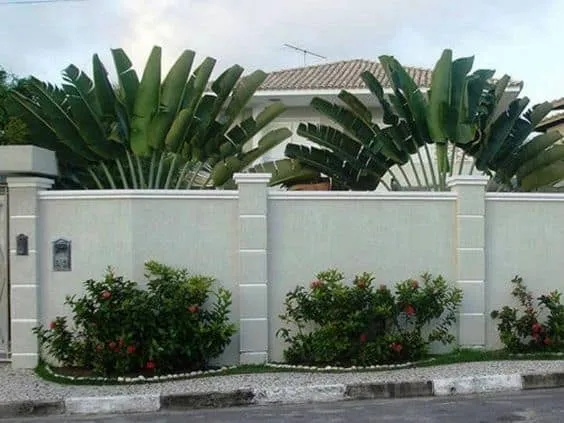 exterior boundary wall design with plants