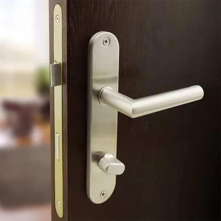 door handle with backplate