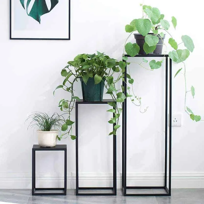 Modern and minimalist planter stand suitable for bonsai