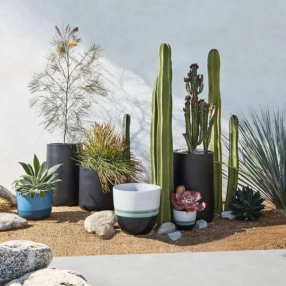 ceramic pots for indoor plants
