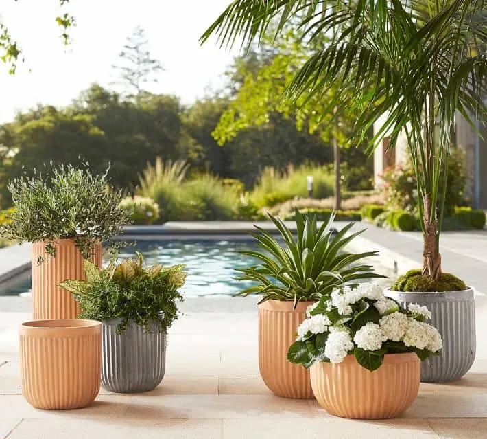Concrete fluted terracotta pots also suitable for bonsai