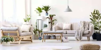 indoor plants in a living room