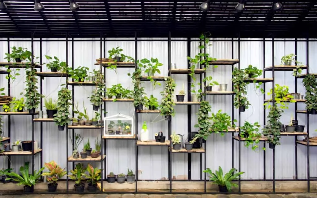 indoor vertical garden stand