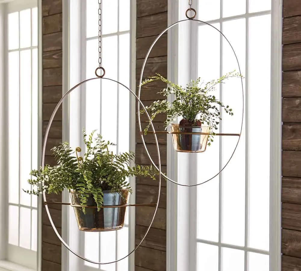 Iron hanging planters, not ideal for bonsai
