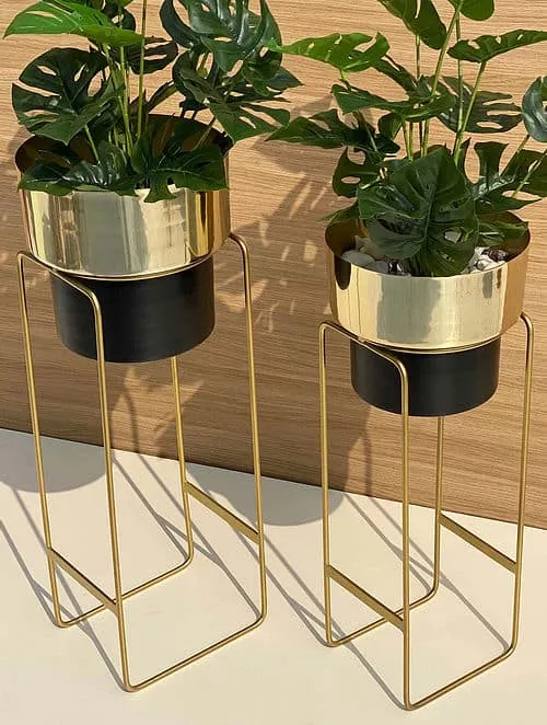 golden and black planters stand