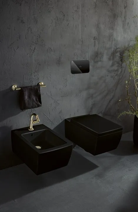 a stylish black toilet seat by premium brand at great price range