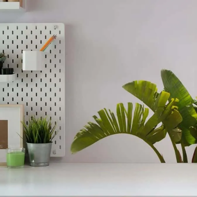 3D wall stickers of palm trees with a potted plant and wax candle