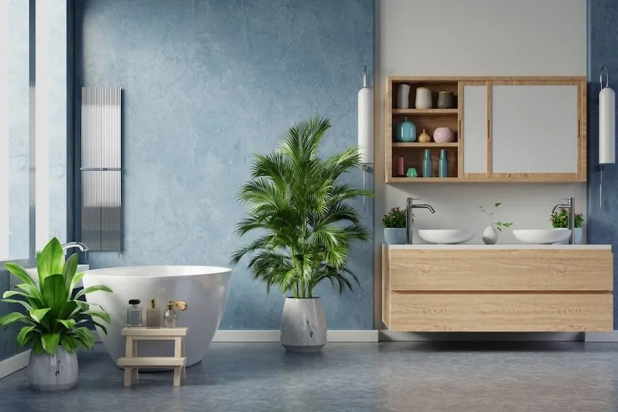 indoor plants with a tub, washbasin design with cabinet and a mirror in hall