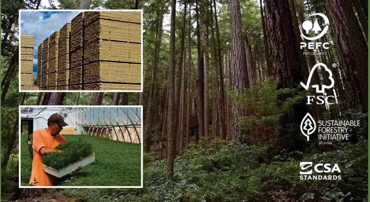 Canadian wood on sustainable lumber industry and wooden items, furniture manufacturing in India