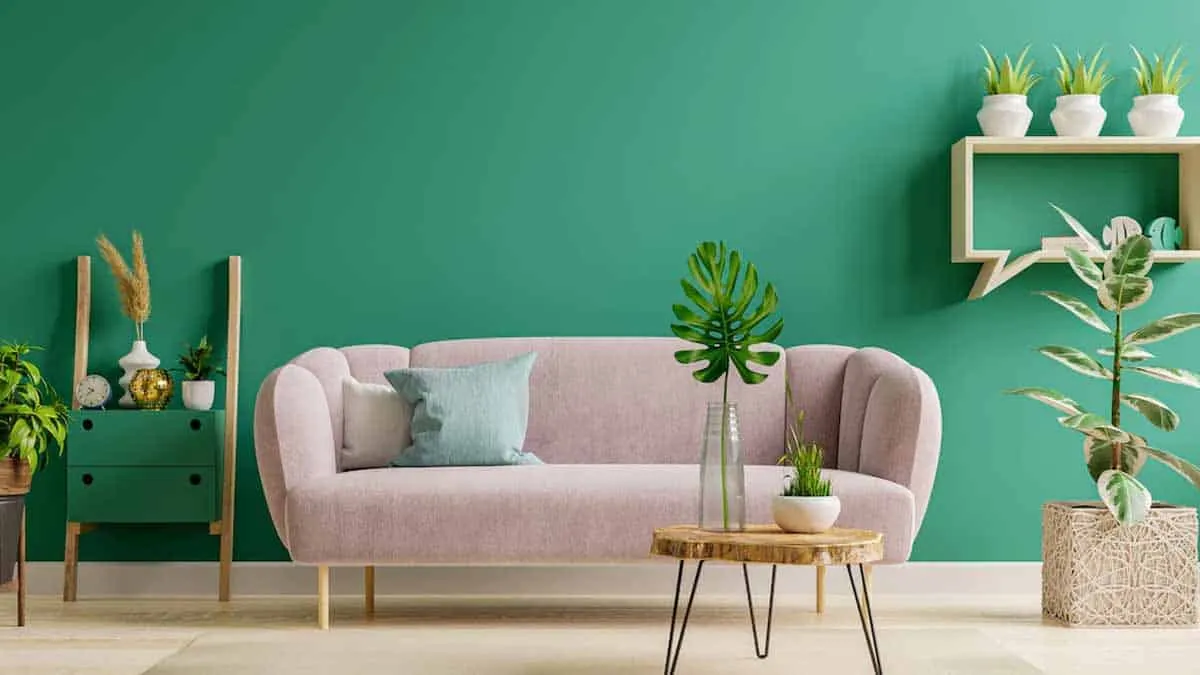 Modern home with green wall colour and light pink sofa and a small wood coffee table