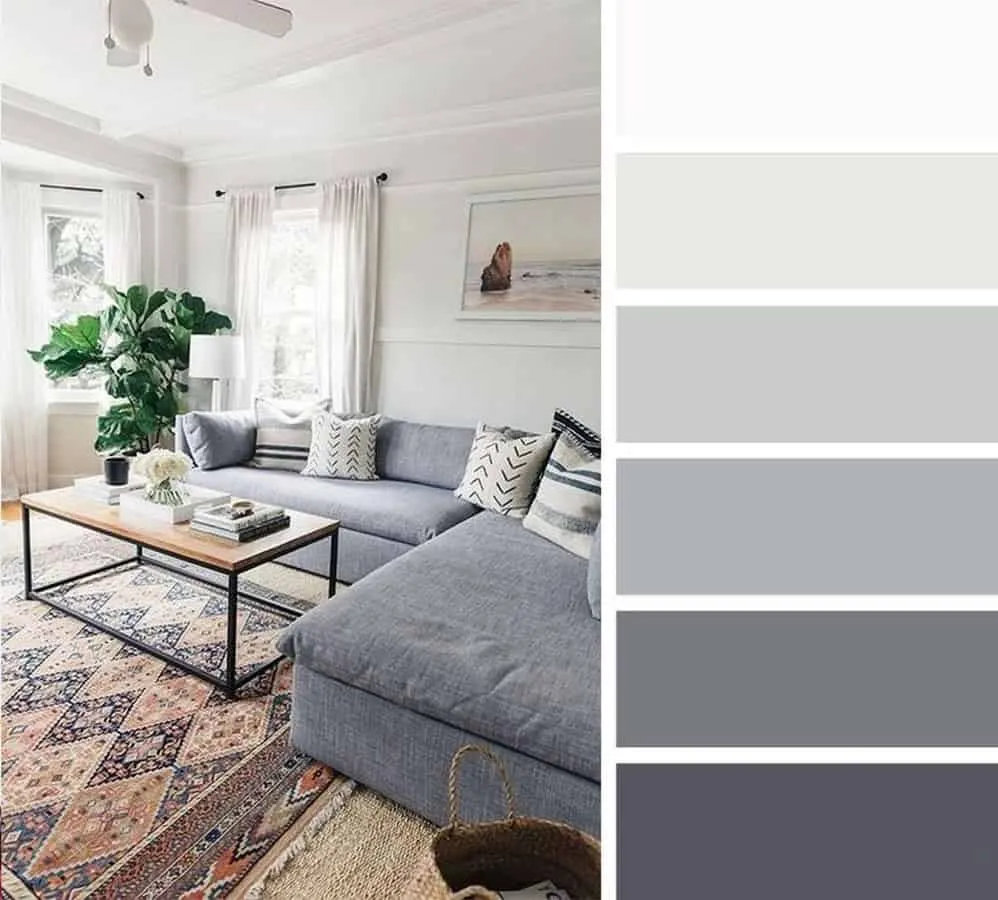 Home Colours of a living room with white and light grey walls with a dark grey sofa