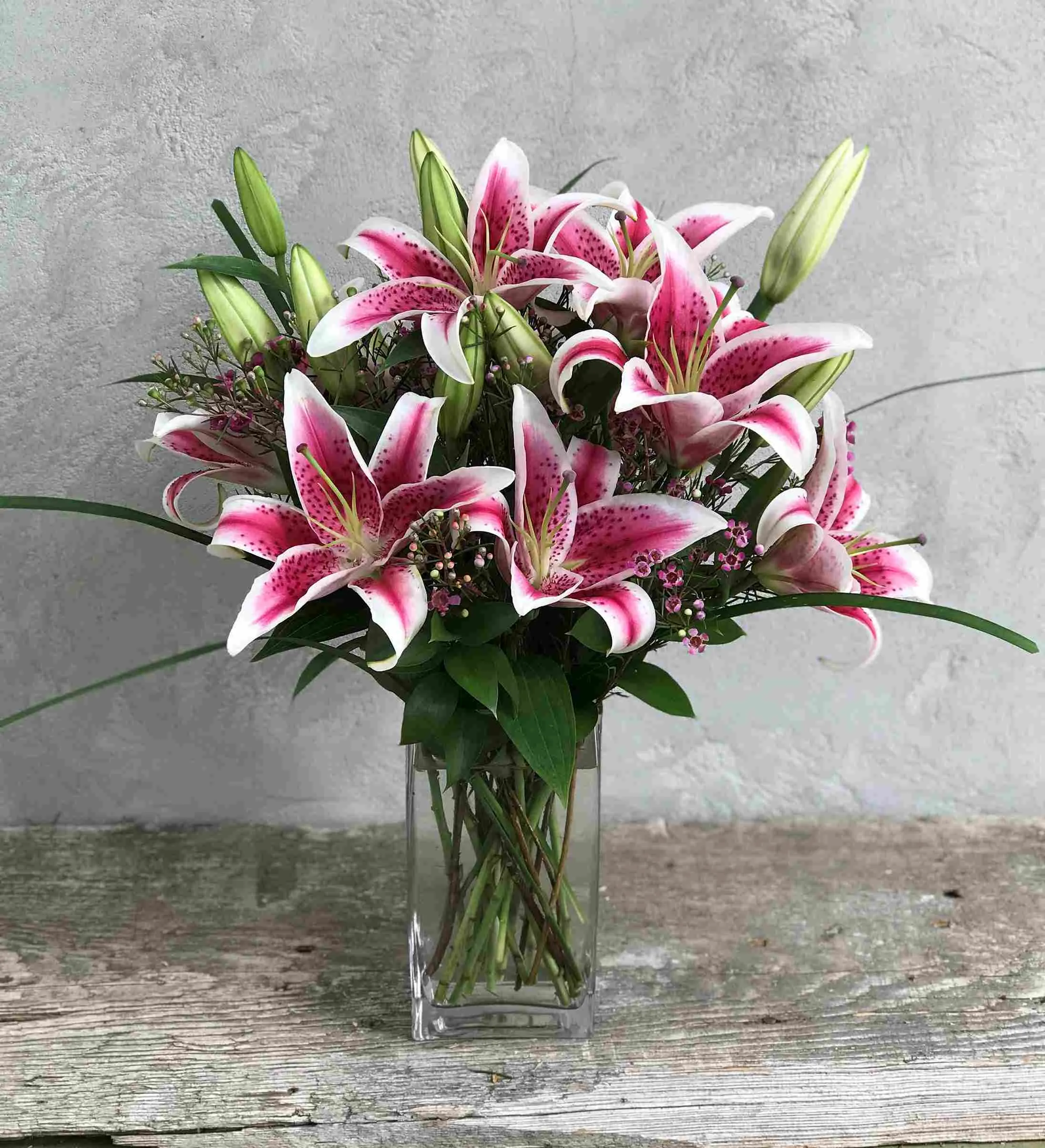 White and pink lily flowers in a glass vase with green foilage