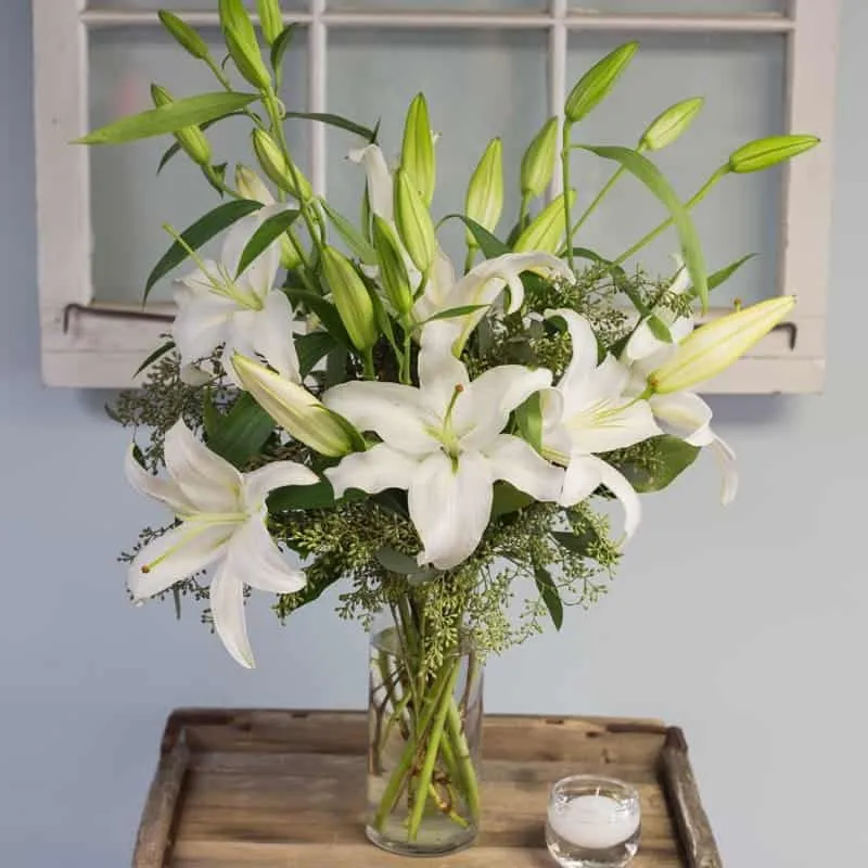 White lily flowers in a glass vase with green foilage