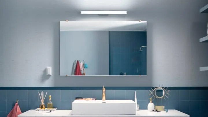 Simple tube light above mirror vanity in bathroom