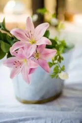 pink lily flowers images in a white vase