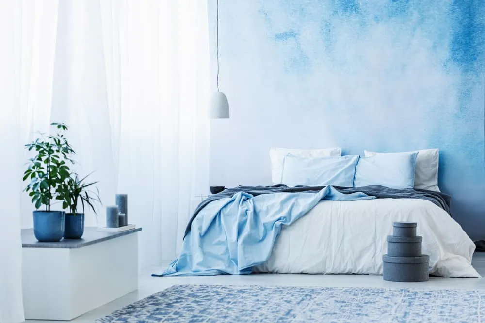 slight blue and white shaded bedroom wall with a plant 