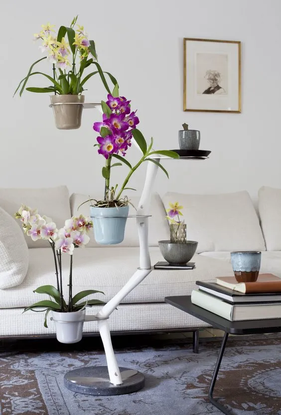 flowering plant placed in planter, living room decor with beautiful orchid