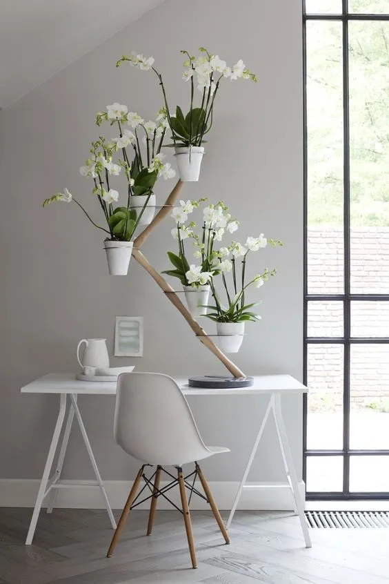 orchid flowers, plants, white petals, white coloured planter, placed on a work desk, all white classic room
