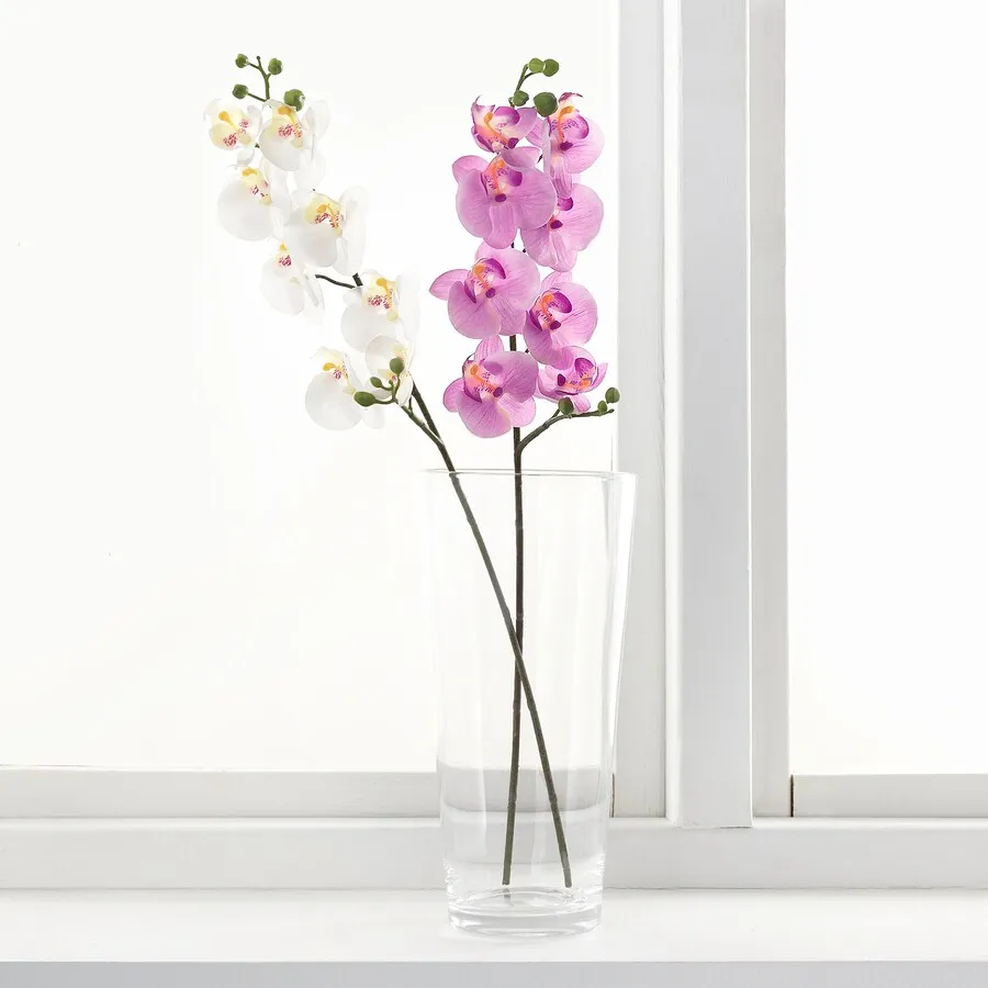 beautiful white and pink blossoms, plant placed in a water glass near the windowsill