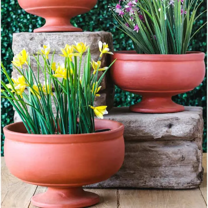 Terracotta container with flowers in them