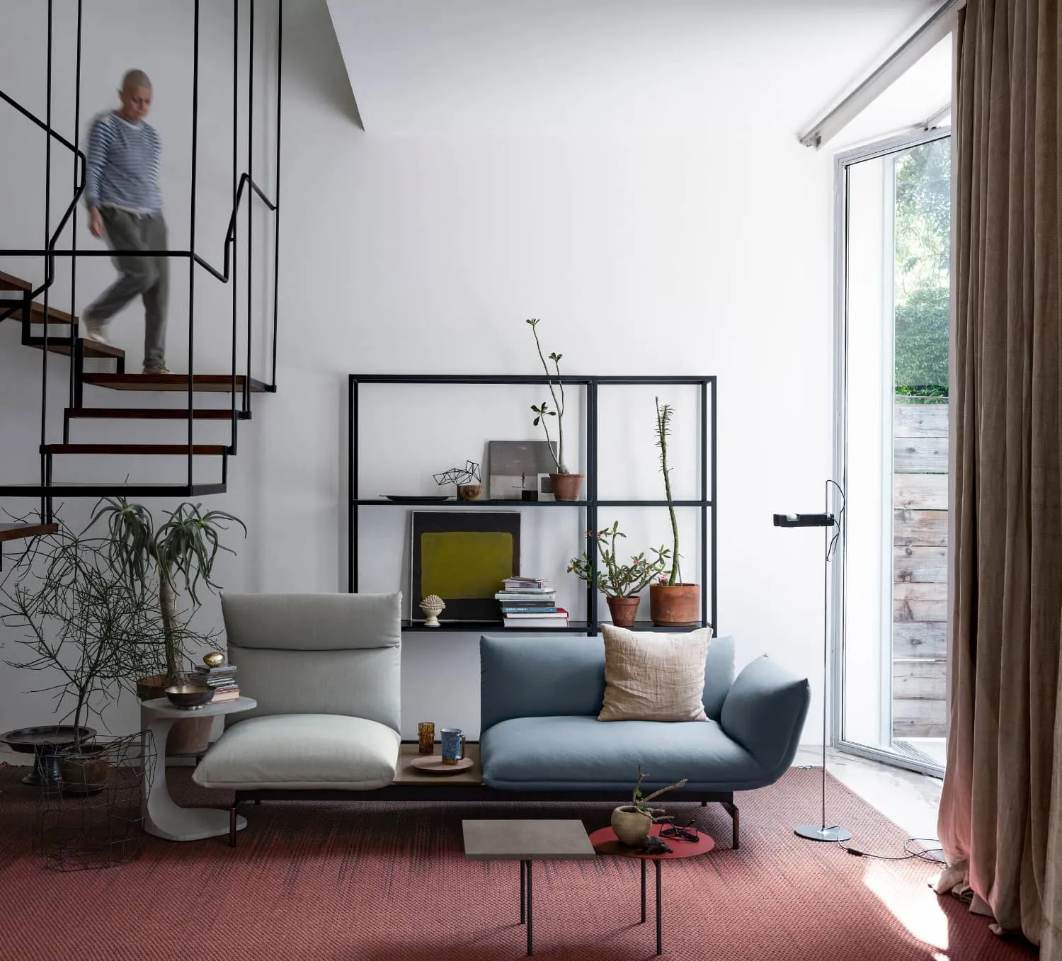 modern designer sofa sets for your living ،e, latest decor element for ،me, carpet, plants for biophilic touch