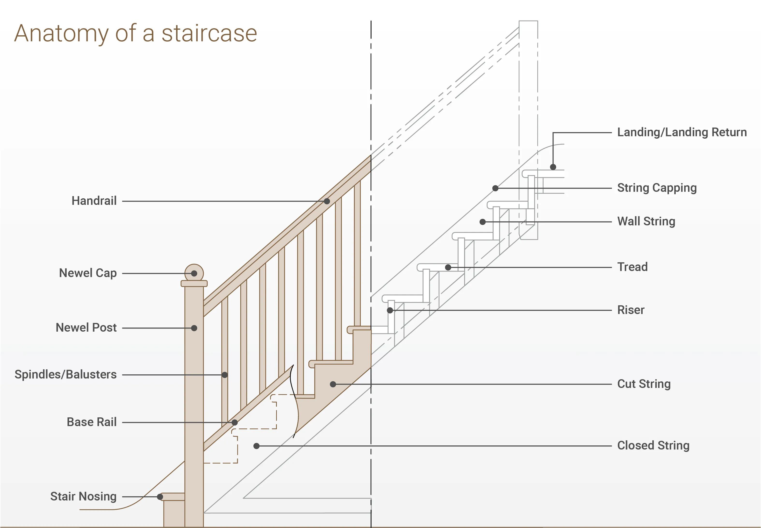 staircase anatomy