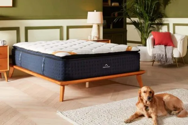 blue and white mattress in a bedroom with brown wooden bed, floors and rug