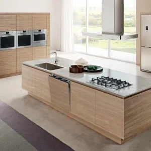 Hafele premium appliances for modular kitchens