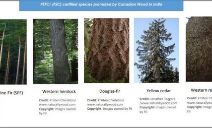 Canadian Wood Species